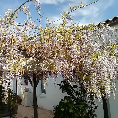 Apartamento Challans Studio Challans