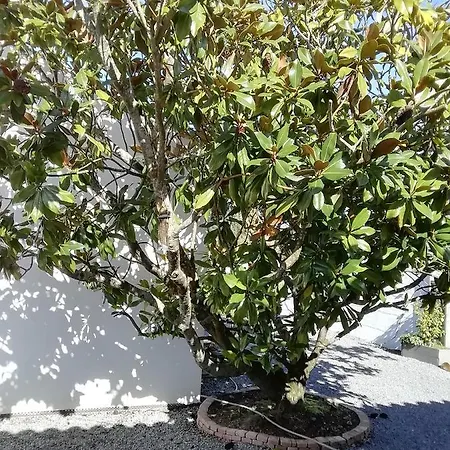 Apartamento Challans Studio Challans