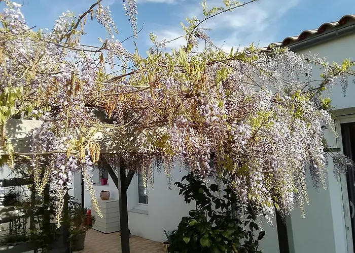 Apartamento Challans Studio Challans