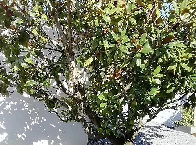 Appartamento Studio Challans